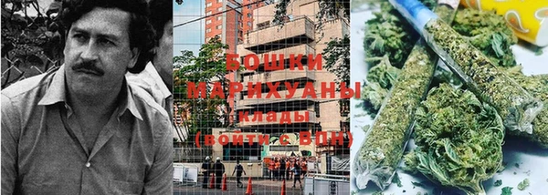 шишки Балабаново