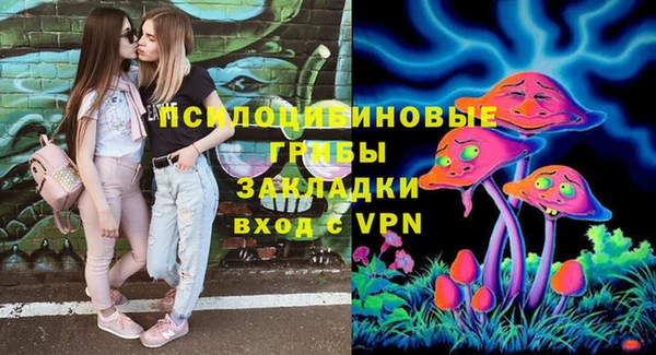 крисы Балахна