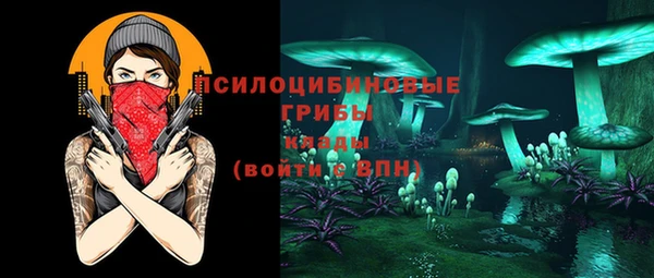 шишки Балабаново