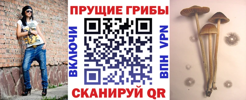Псилоцибиновые грибы ЛСД  Кубинка 